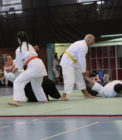 Sarau RSC 2019 – Aikido
